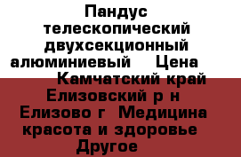 Пандус телескопический двухсекционный алюминиевый. › Цена ­ 5 000 - Камчатский край, Елизовский р-н, Елизово г. Медицина, красота и здоровье » Другое   